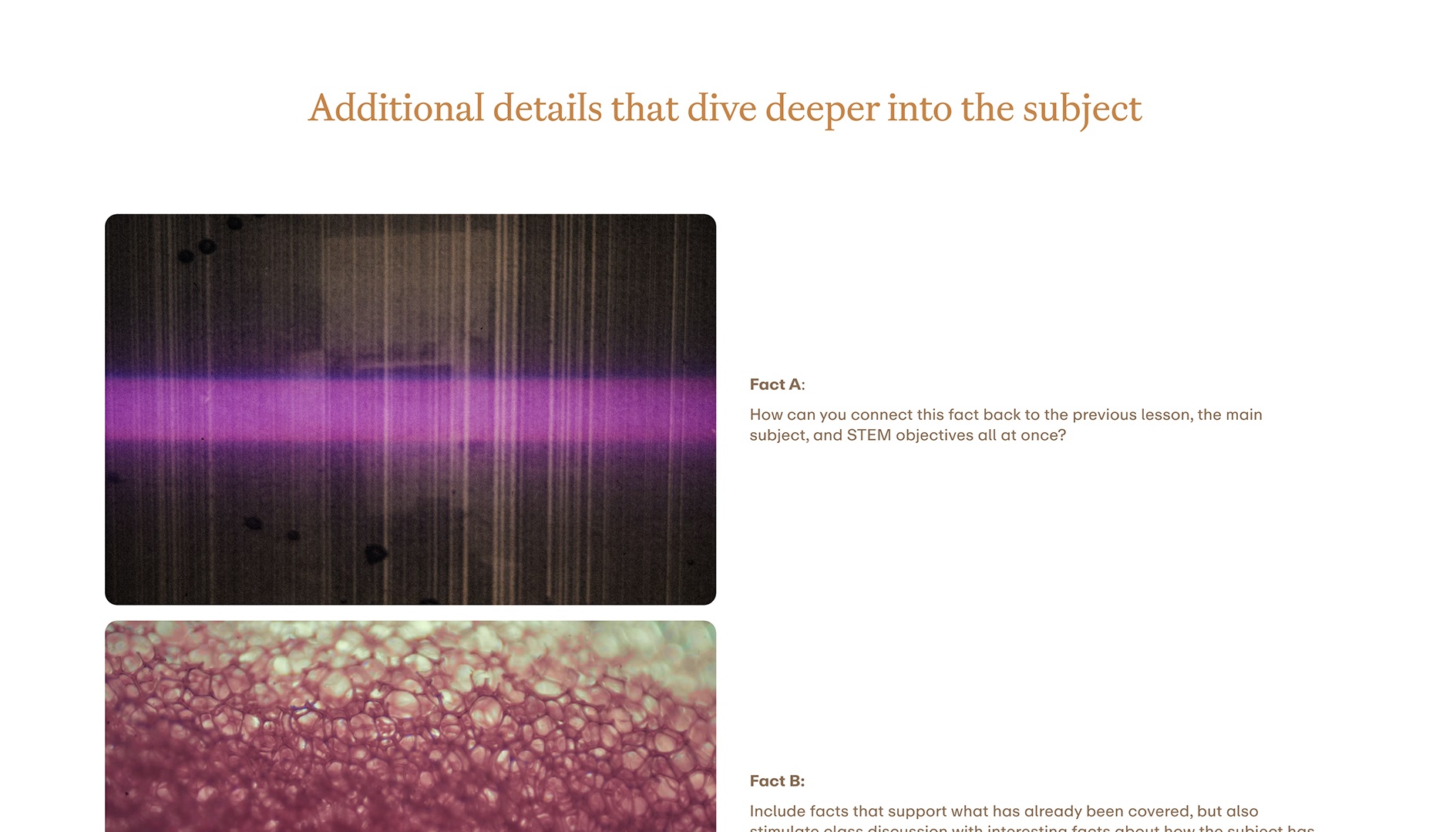 Science Lesson Template - Details