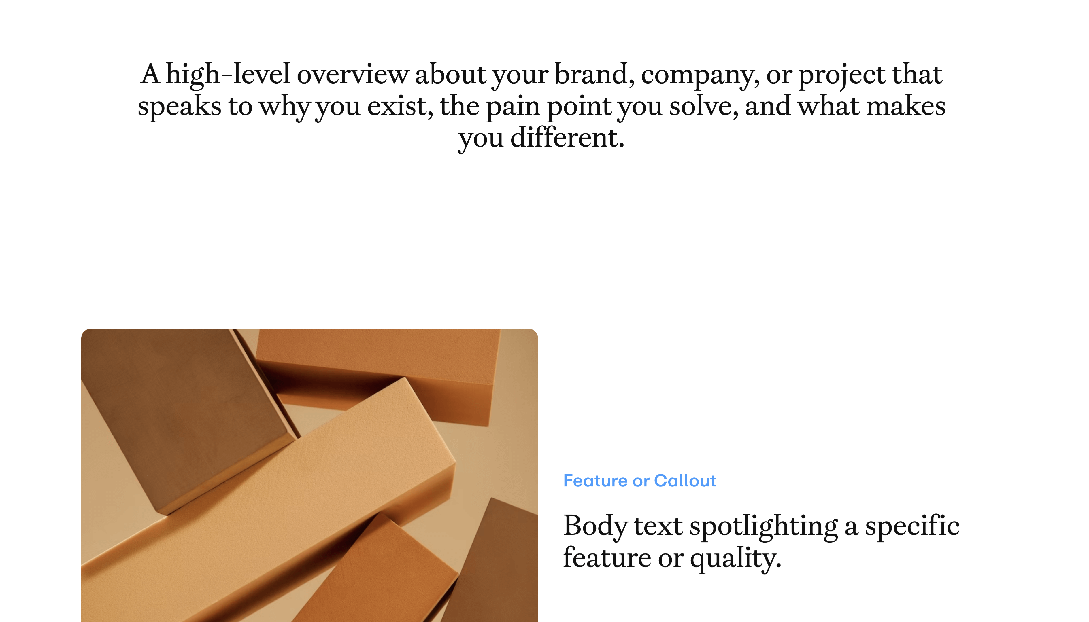 Marketing Site Template – Brand Overview Section