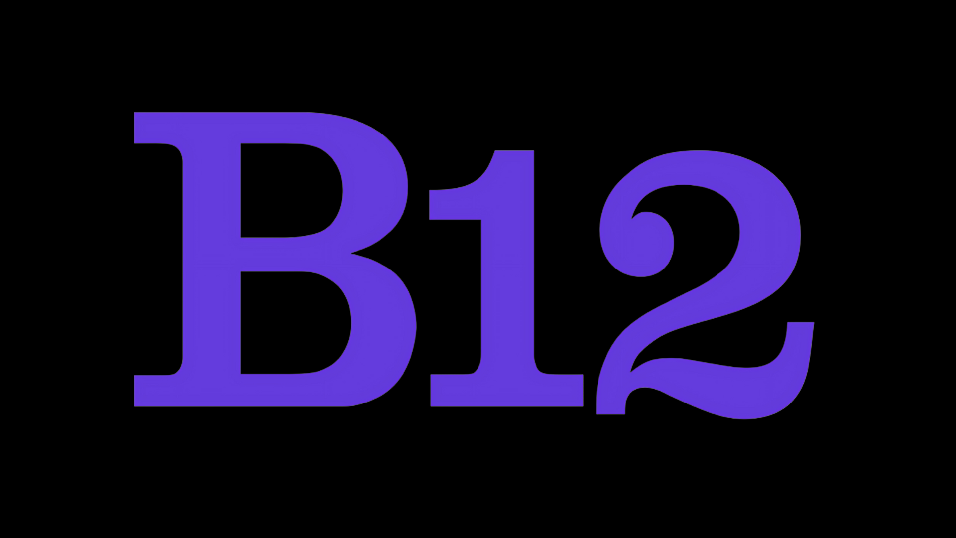 B12.io: Pricing, Reviews, and Alternatives