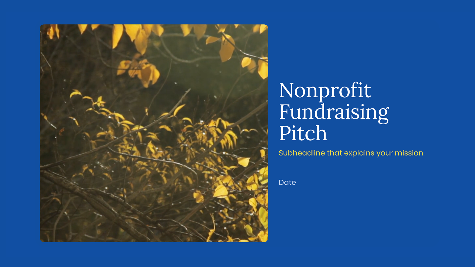 Top 10 Nonprofit Fundraising Pitch presentation templates